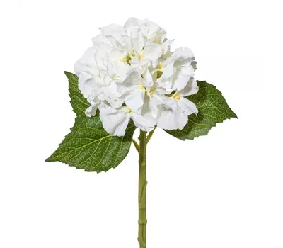 Minihortensie 33cm weiß