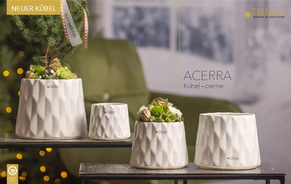 Kübel Acerra creme Kübel Acerra creme
