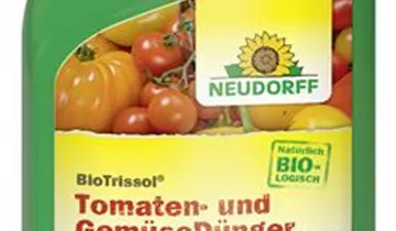 Bildvorschau