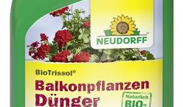 Bildvorschau