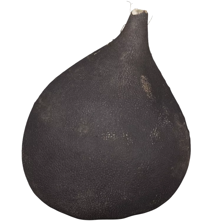 1010850