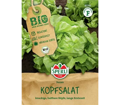 Bio-Kopfsalat