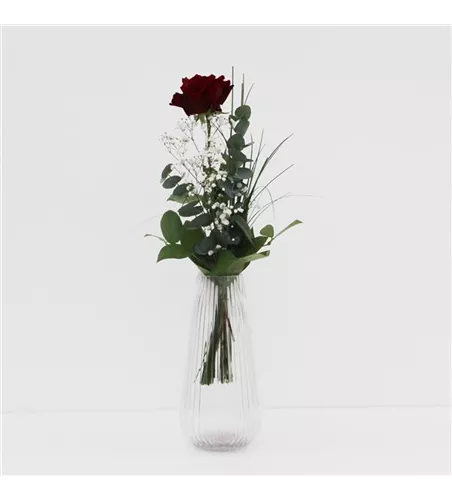 Rose Rot 1 Stück gebunden mit Beiwerk Rose Rot 1 Stück gebunden mit Beiwerk