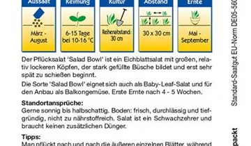 Bildvorschau