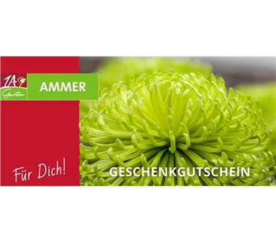Geschenk Gutschein