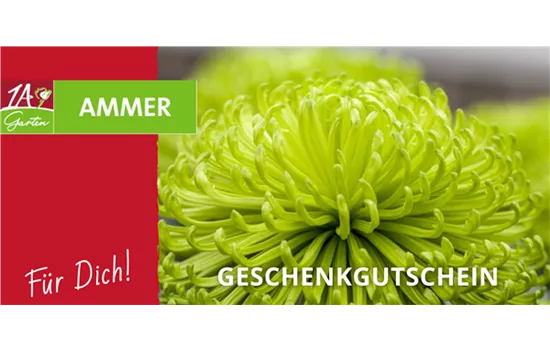 Geschenk Gutschein