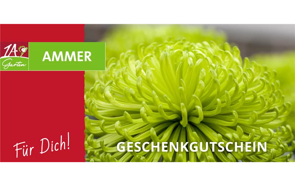 Geschenk Gutschein