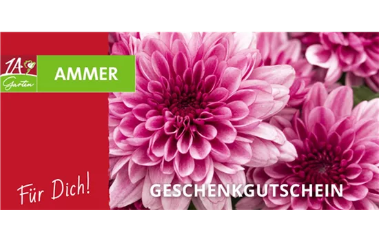 Geschenk Gutschein