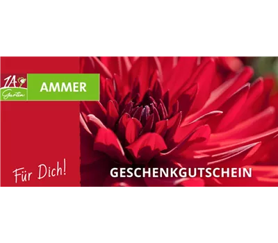 Geschenk Gutschein
