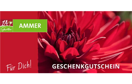 Geschenk Gutschein