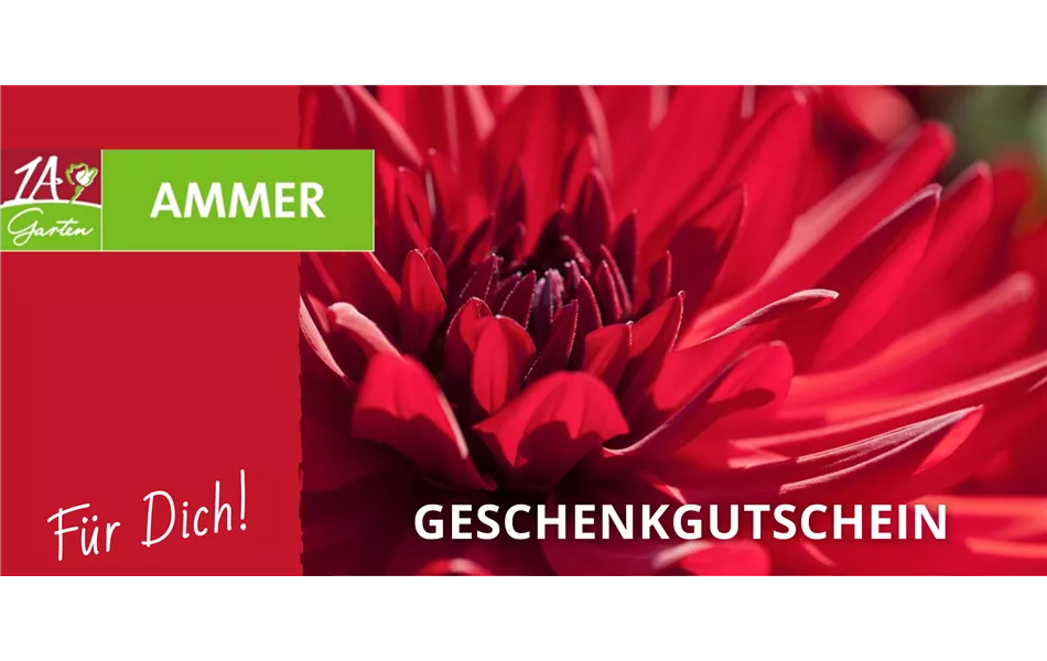 Geschenk Gutschein