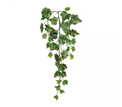 Englischer Efeuzweig, 39 Blätter, 63cm lang, grün